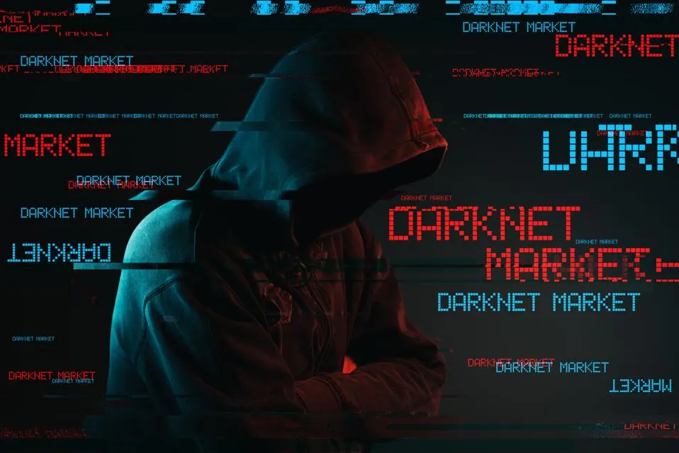 Cover image for: Dark Web Investigations: Uncovering Hidden Threats and Illicit Activities